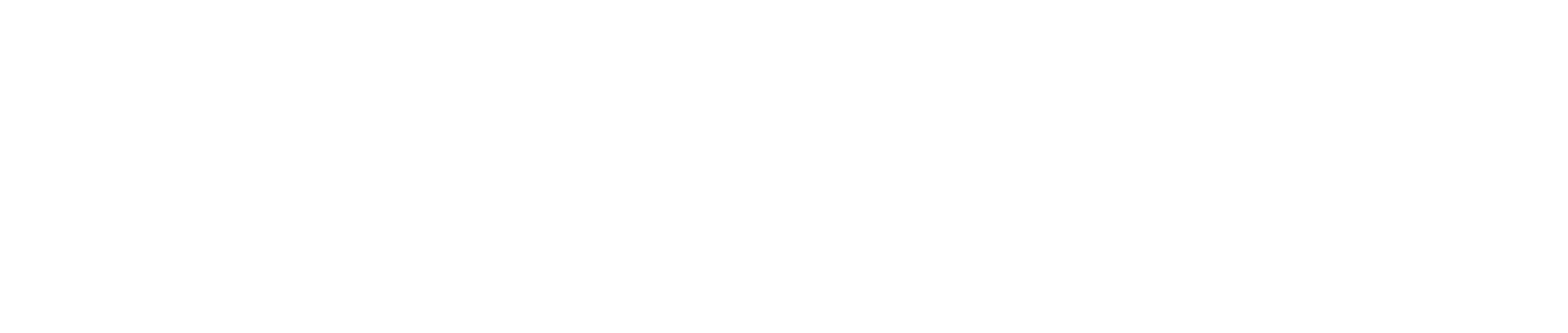 Gara 20